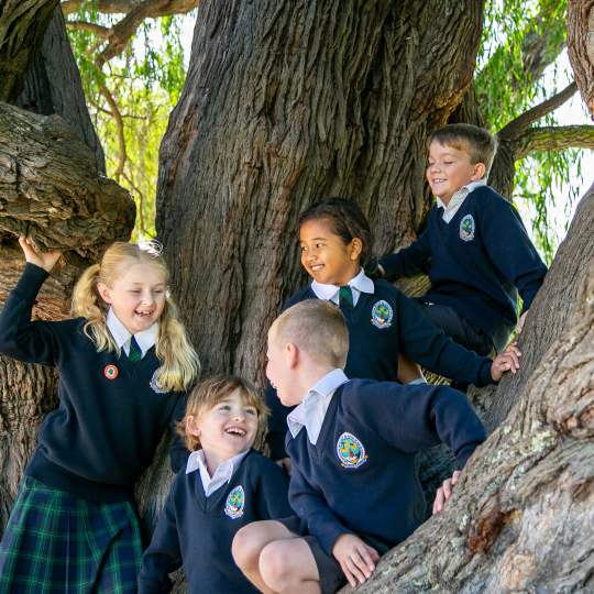 Junior School 2