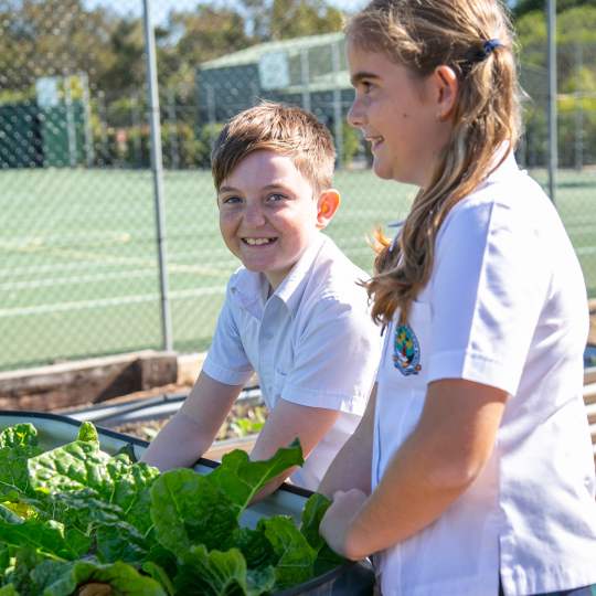 Junior School 3