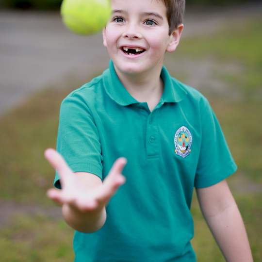 IMG 9971