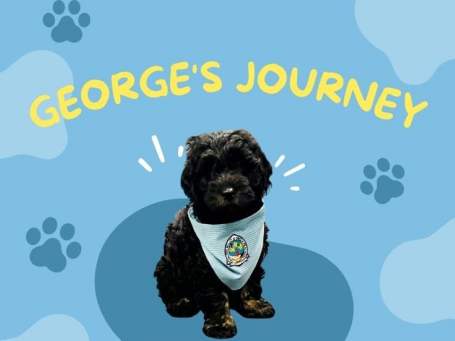 George Blog Cover