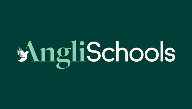AngliSchools Website